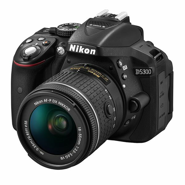 šۡ1ǯݾڡۡʡNikon D5300 AF-P 18-55mm VR 󥺥å ֥å