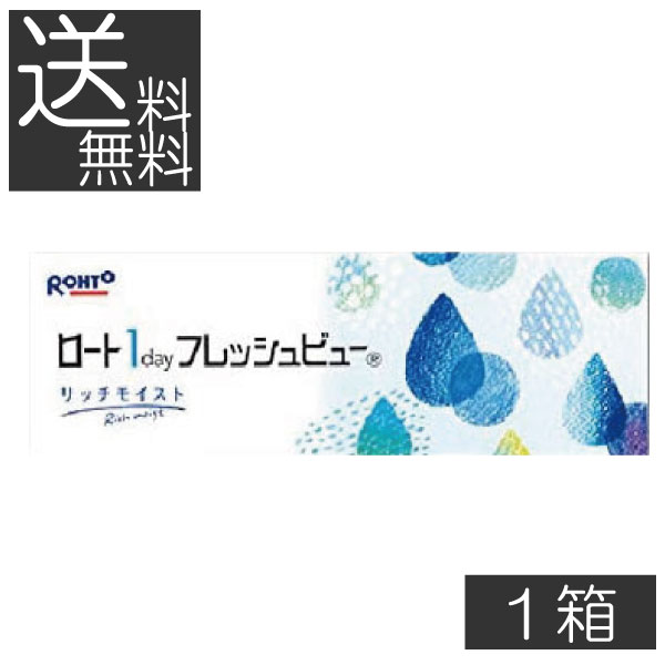 ワンデーフレッシュビューリッチモイスト（30枚入）×1箱ロート ROHTO（フレシュビュー）