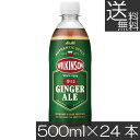 【本日限定ポイントアップ中】送料無料 ウィルキンソン ジンジャエール 辛口 500ml ×1箱(24本) ジンジャーエール 炭酸 ウイルキンソン