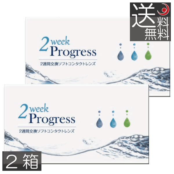 コンタクト 2ウィークプログレス(6枚入)　×2箱　2week progress クリアコンタクト 2週間交換 ツーウィ..