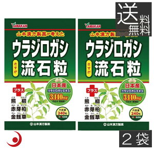 山本漢方製薬 ウラジロガシ 流石粒 240粒 ×2袋 胆石 腎石 結石 排石 あす楽