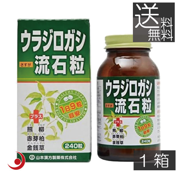 山本漢方製薬 ウラジロガシ 流石粒 240粒 1箱 胆石 腎石 結石 排石