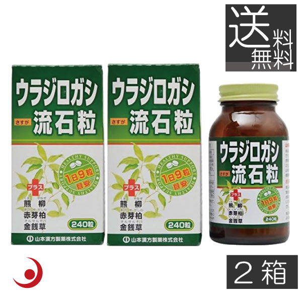 山本漢方製薬　ウラジロガシ 流石粒 240粒 ×2箱 胆石 腎石 結石 排石