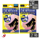 美脚足のアシスト ブラック 2枚入り Lサイズ ×2箱 テルコーポレーション О脚 偏平足 フットケア 機能性ストッキング 機能性ストッキング靴下