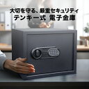 【据付設置費無料】ディプロマット 耐火金庫＜テンキー式＞HANA ブラック 樹脂製パネル HN500BKHB　8809366192013【送料無料】