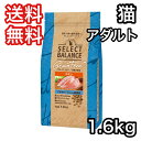 セレクトバランス アダルト チキン 小粒 1才以上の成猫用 1.6kg グレインフリー キャットフード 送料無料