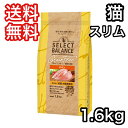 セレクトバランス スリム チキン 小粒 成猫の体重管理用 1.6kg グレインフリー キャットフード 送料無料