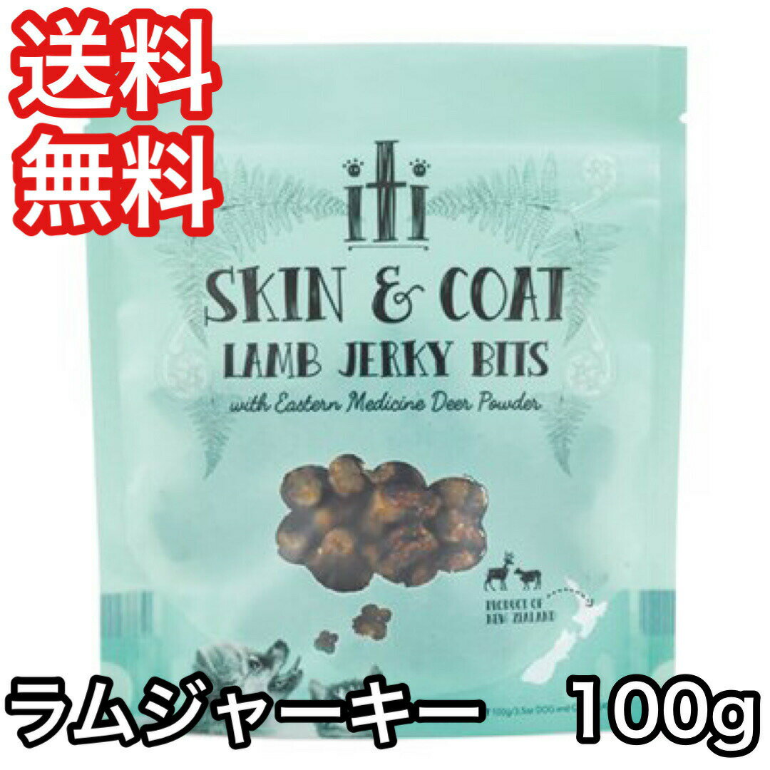 イティ トリーツ iti 犬 おやつ ラム ジャーキー 皮膚 被毛ケア 100g 送料無料