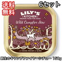 【賞味期限1ヵ月未満】【6セット】リリーズキッチン 野生のキャンプファイヤーシチュー 150g 送料無料