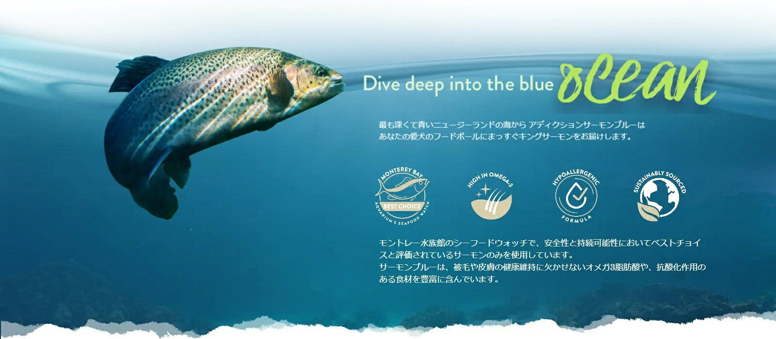 アディクション サーモンブルー 500g ドッグフード 3