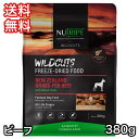 ワイルドカット ビーフ with グリーントライプ 380g ドッグフード 送料無料
