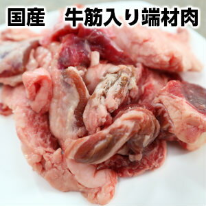 国産牛筋入り端材肉300g 犬 ペット 生肉 犬用おやつ父の日 敬老の日