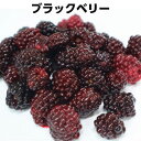 ブラックベリー 冷凍フルーツ250g 無添加 無着色 業務用 製菓 ケーキ パイ ジャム blackberry