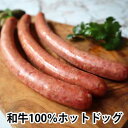 黒毛和牛100%使用のホットドッグ3本入り 黒毛和牛 高級ソーセージ 和牛100%使用 WAGYU100% HOT DOG 簡単ホットドッグ
