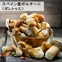 ポルチーニ　スペイン産DeJara社製 250g　ボレトゥス