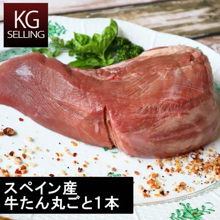 わたせい 牛タン 【不定貫】欧州産（スペイン）牛舌1本丸ごとブロック　733円/100gあたり beef tongue from spain grup vinas