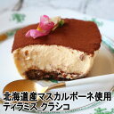ティラミスクラシコ 洋菓子 ティラミス スイーツ ケーキ ギフト とろなまティラミス 北海道 チーズ マスカルポーネ スイーツ