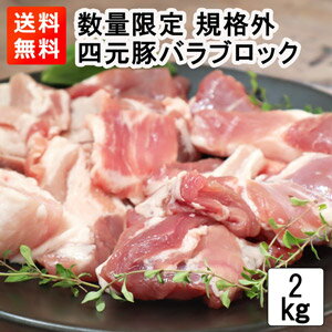 数量限定 四元トン豚バラ肉（三枚肉）ブロック規格外2000g pork belly