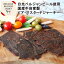 񻺵٥른 ӥޥɥ㡼 Belgian beer jerky mustard 30g