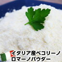 イタリア産ペコリーノロマーノパウダー500g Pecorino Romano cheese powder 500g父の日 敬老の日