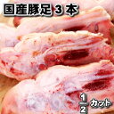 ビビゴ　海苔巻き 春雨＆野菜　天ぷら　1.1kg