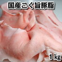 錄ڥץߥǥꥫۤ㤨ֹڻ֥å1000g 顼ʤɤ domestic pork fat ϷפβǤʤ458ߤˤʤޤ