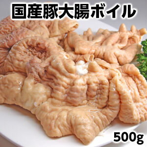 【エントリー必須 ポイント19倍 2/9~2/16】国産豚ホルモン500g 豚大腸 pork big intestine