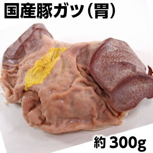 国産豚ガツ約300g 焼肉/