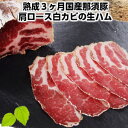 3ヶ月熟成国産那須豚肩ロース白カビの生ハム coppa コッパ 白カビ父の日 敬老の日