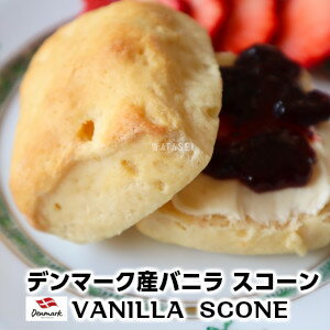 デンマーク産完全焼成済みバニラ スコーン denmark chocolate chips scone