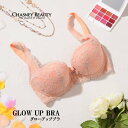 【ポイント5倍】 送料無料 チェスニービューティ CHASNEY BEAUTY グローアップブラ ブラジャー LUCY レディース 下着 高級 インポート ラン...