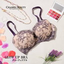  送料無料 チェスニービューティ CHASNEY BEAUTY ブラ グローアップ ブラジャー レディース 下着 インポート 高級 ランジェリー セクシー レース リボン エロ かわいい 補正下着 谷間 盛 20 30 40 50 代 紫 パープル B C D Cb129 CB3100/31P