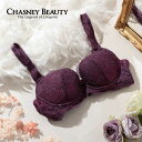 【ポイント5倍】 チェスニービューティ CHASNEY BEAUTY ウェイクアップブラ Chicagolace シカゴレース レディース ランジェリー インポ...