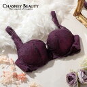 【ポイント5倍】 チェスニービューティ CHASNEY BEAUTY グローアップブラ Chicagolace シカゴレース レディース ランジェリー インポート ブラジャー バストアップ リフトアップ 美胸 補整下着 紫 バイオレット PLUM CB870/11 Cb163