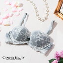 チェスニービューティ CHASNEY BEAUTY ウェイクアップブラ AMBER アンバー レディース ランジェリー ブラジャー バストアップ 美胸 補整下着...