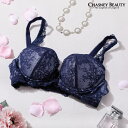 チェスニービューティ CHASNEY BEAUTY ウェイクアップブラ Chicagolace シカゴレース レディース ランジェリー ブラジャー バストアップ...