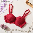 チェスニービューティ CHASNEY BEAUTY ウェイクアップブラ QUEEN クイーン レディース ランジェリー ブラジャー バストアップ 美胸 補整下着...