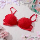 10%OFF セール リズシャルメル LISE CHARMEL ブラジャー モールドカップブラ 未来のチャーム CHARME FUTUR レディース 下着 イン...