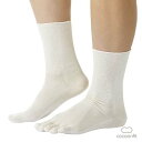 【送料無料】 砂山靴下 コクーンフィット Cocoonfit 靴下 ソックス レディース 5本指 5本指ソックス フィット 履いてないような 履き心地 お肌 なめらか 履き口 足首 日本製 国産 絹 天然 シルク プレゼント ギフト 白 オフホワイト S L Sn015 CO-0821N(4)