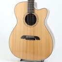 K.Yairi WY-1 (Natural) (新品)