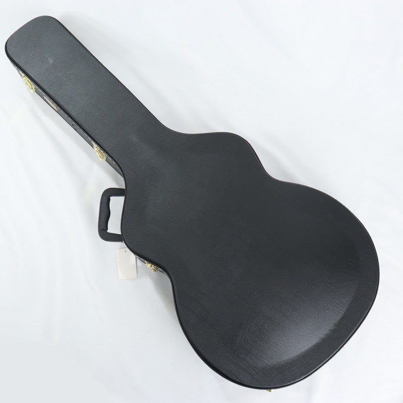 Ibanez AS-C (AS用ハードケース) 【メーカー放出特価品】 (アウトレット 新品特価)