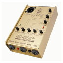 L.R.Baggs 【国内300台限定モデル】50th Anniversary Gold Para D.I. (新品)