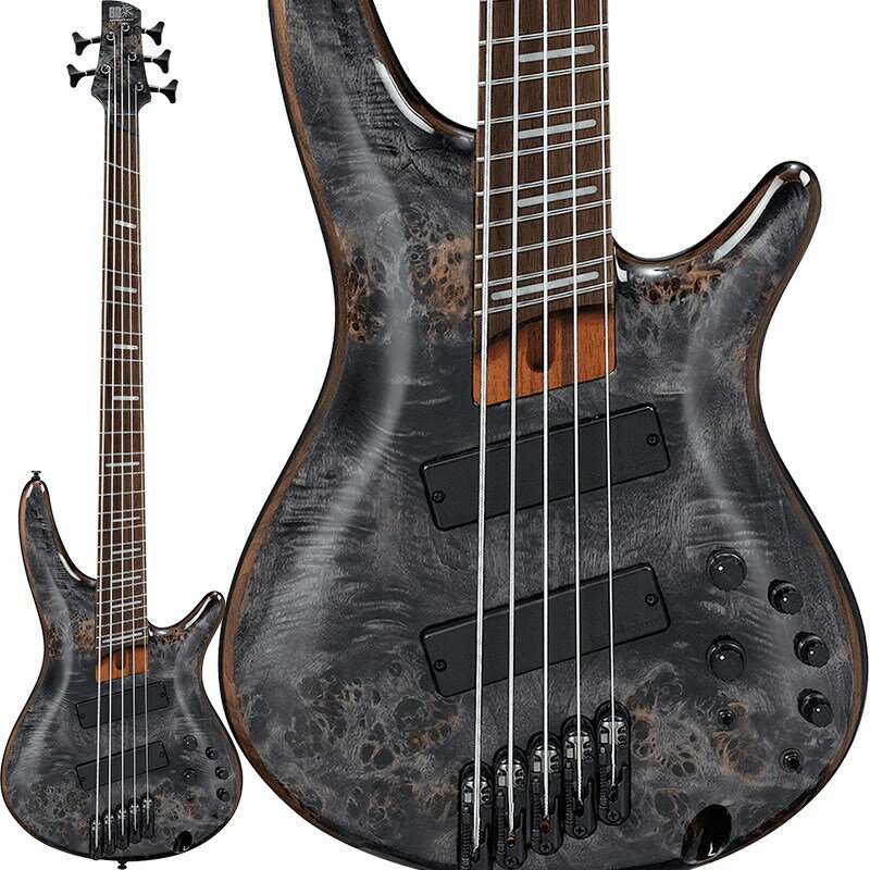 Ibanez Bass Workshop SRMS805-DTW (新品)