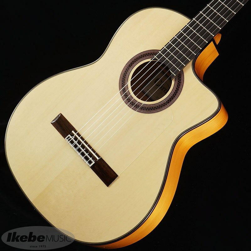 Cordoba Iberia Series GK Studio (新品)