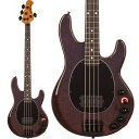 MUSICMAN DarkRay 4 (Dark Rainbow/Ebony) 【amPlug 3 Tone Hammerプレゼントキャンペーン】 (新品)