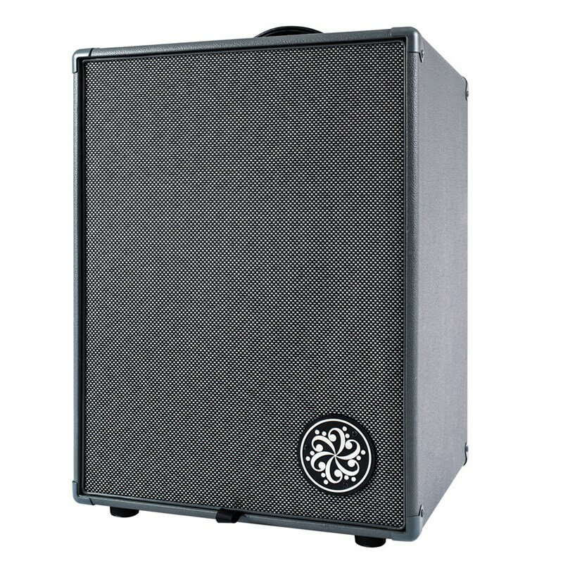 Darkglass Electronics ڤʡ Infinity 500 Combo 210 [DG210D] ()