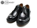 WZt`[j[ v[gD hXV[Y Y JOSEPH CHEANEY WYE2 BLACK