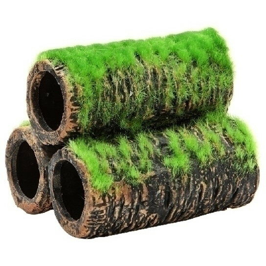 å GEX ¤ ڴ M Ѿ޵