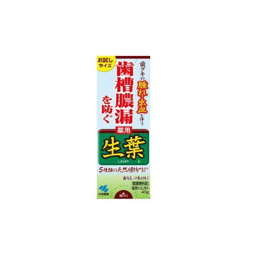 商品説明* 原産国 : 日本* 原材料 : 湿潤剤:濃グリセリン、ソルビット液/基材:含水ケイ酸/溶剤:精製水、エタノール/研磨剤:ピロリン酸カルシウム/増粘剤:無水ケイ酸/可溶剤:ポリオキシエチレン硬化ヒマシ油/安定剤:酸化チタン、エデト酸二ナトリウム、アラントイン、/矯味剤:塩化ナトリウム、トウキエキス(1)、シャクヤクエキス、乳酸アルミニウム/発泡剤:Nラウロイル-L-グルタミン酸ナトリウム/粘結剤:カラギーナン/香味剤:香料(ハーブミントタイプ)/薬用成分:イプシロン-アミノカプロン酸、グリチルリチン酸ジカリウム、ヒノキチオール/防腐剤:パラベン/洗浄剤:ムクロジエキス/着色剤:黄色4号、青色1号* 内容量 : 40g* 商品サイズ (幅X奥行X高さ) : 42mm×35mm×113mm【広告文責】エクスプライス株式会社 03-6631-1125【メーカー】小林製薬【区分】日本製・医薬部外品