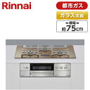 DELICIA デリシア ビルトインガスコンロ Rinnai RHS71W31E12VCSTW-13A